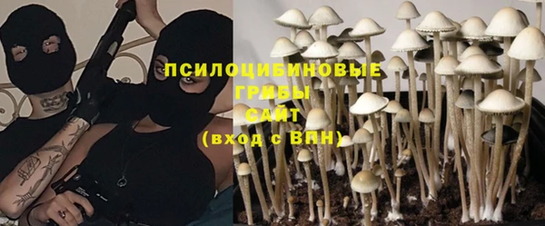 твердый Нягань