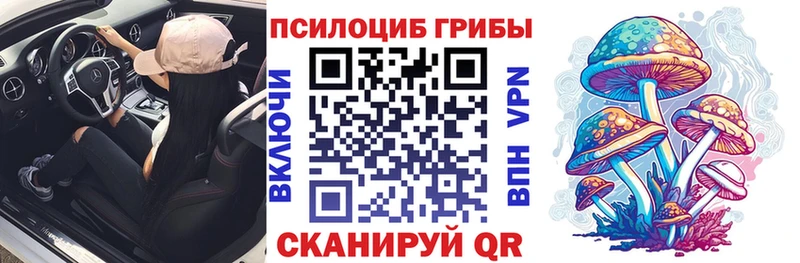 наркота  Камешково  Псилоцибиновые грибы Magic Shrooms 